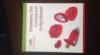 Plastic Strawberry Slicer Cutter Set with Stainless Steel Blades