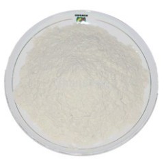 Soy Protein Isolate Injection Type 90%