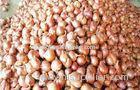 Non-Peeled Fresh Red Asian Shallot Contains Fibre , Anti-Inflammatory