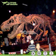 Life-size Replica Dinosaur Skeleton