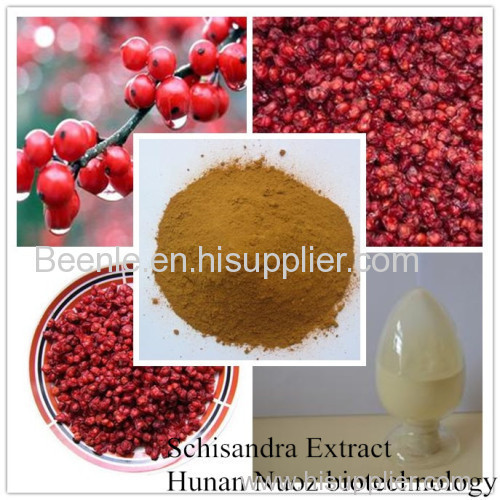 China manufacturer hot supply schisandra chinensis extract with schisandrin A