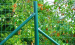 Green PVC Round Fence Post