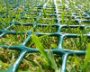 Lawn protection mesh - easy installation and cost-effective
