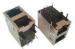 2x1 Dual Port RJ45 with Transformer, ethernet transformer with PA46(UL94V-0) Housing