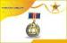 Custom Brass Military Metal Medals With Multi-Colors Ribbon For Memorial Prize