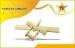Gold Plated Personalized Tie Bar For Military Uniform Or Fashion Clothes