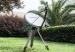 High Power KA Band Point to Point Microwave Antennas Dual Polarization