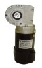 48V PMDC WORM GEAR MOTOR