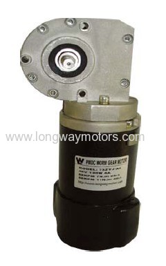 48V PMDC WORM GEAR MOTOR