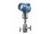 High accuracy Rosemount 3051S In - line Gauge Pressure Transmitter