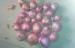 Organic Pure Natural Red Asian Shallot Contains Folate , Zinc