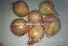 Non-Peeled Yellow Natural Fresh Onion With Sweet Flavour Contains Water, Sugar, More resistant to st