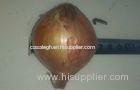 Brown Sweet Natural Fresh Onion Health Benefits For Anticancer , Antioxidant Properties, Onion white