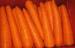 Delicious Rich Carotene Organic Carrot Containing Carotene- Anti-Cancer