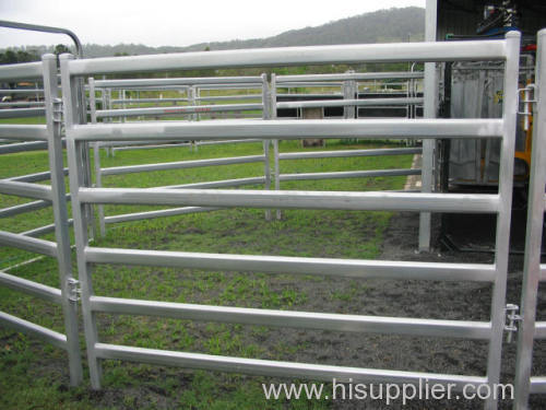 Pipe Cattle Fencing Panel