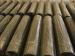 6m Warp Knitted Polyester Geogrid High Intensity For Roadbed , Railway