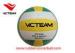 Official size 5 Rubber Volleyball