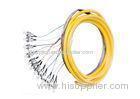 UPC APC FC SC 12core Fiber Pigtail with Polishing SM MM Cable