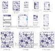 Mixed Navy Dots polypropylene Ring Binder , Sort and organize documents hardback vinyl binder