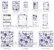 Mixed Navy Dots Spiral Bound Index Cards , 4x6 colored index cards