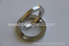 NdFeB Magnet Ring Used In Motors