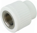 ppr female threaded coupling