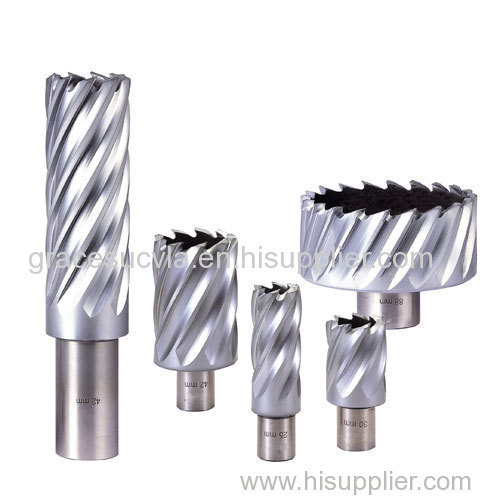 Hss drill bits (HSS annular cutter--for steel plate)