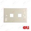 2 ports 120type Network Faceplate Ivory panel for Computer