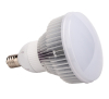 High Lumen 50W/80W LED High Bay Bulb