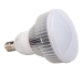 CE/ TUV High Lumen 50W/80W LED High Bay Bulb
