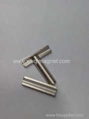 Irregular Shaped NdFeB Magnet R2*R1*16