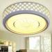 acrylic ceiling lamp modern ceiling lamp