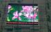 High-Definition P12.5 Commercial Led Displays For Exhibitions , 7000cd/ Brightness