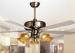 Glass Modern Ceiling Fan Light Fixtures