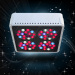 High power led plant grow light red and blue for hydroponic plants flowers vegetables greenhouse hydro lighting