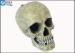 Custom Skull Cool Fish Tank Decorations Aquarium Resin Ornament Home Decorative Products