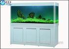Large Custom Glass Aquarium Dragon Fish Tank , Ecology Fish Tank with Filter 730 mm High