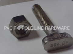 Stainless Steel 304 T Bolt with Hex Nut