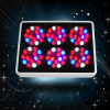 Apollo6 led grow light