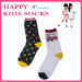 Children socks socks manufacturer Cartoon Funky Kids Socks