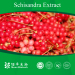 Schisandra Chinensis extract with schisandrin B