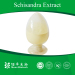 Professional producing schisandra extract with Schisandrin B