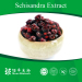 schisandra chinensis extract 19%