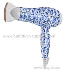 professional hair dryer with ionic / diffuser / AC or DC motor for choice