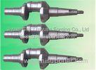 Casted / Forged Crankshafts for single-cylinder and 4-cylinder diesel engines