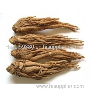 Angelica sinensis Extract / ligustilide