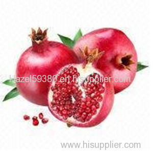 Pomegranate P.E / 40%,70% Ellagic acid