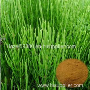 Horsetail P.E / Silica acid