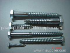 Hex Lag Screw with EPDM Bonded Washer Hot Dipped Galvanized