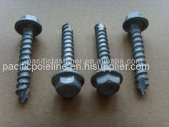Square Lag Screws Hot Dipped Galvanized